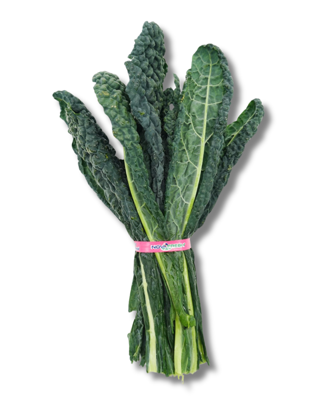 Black Kale (2) Black Kale – Dark, tender leaves with a robust taste.