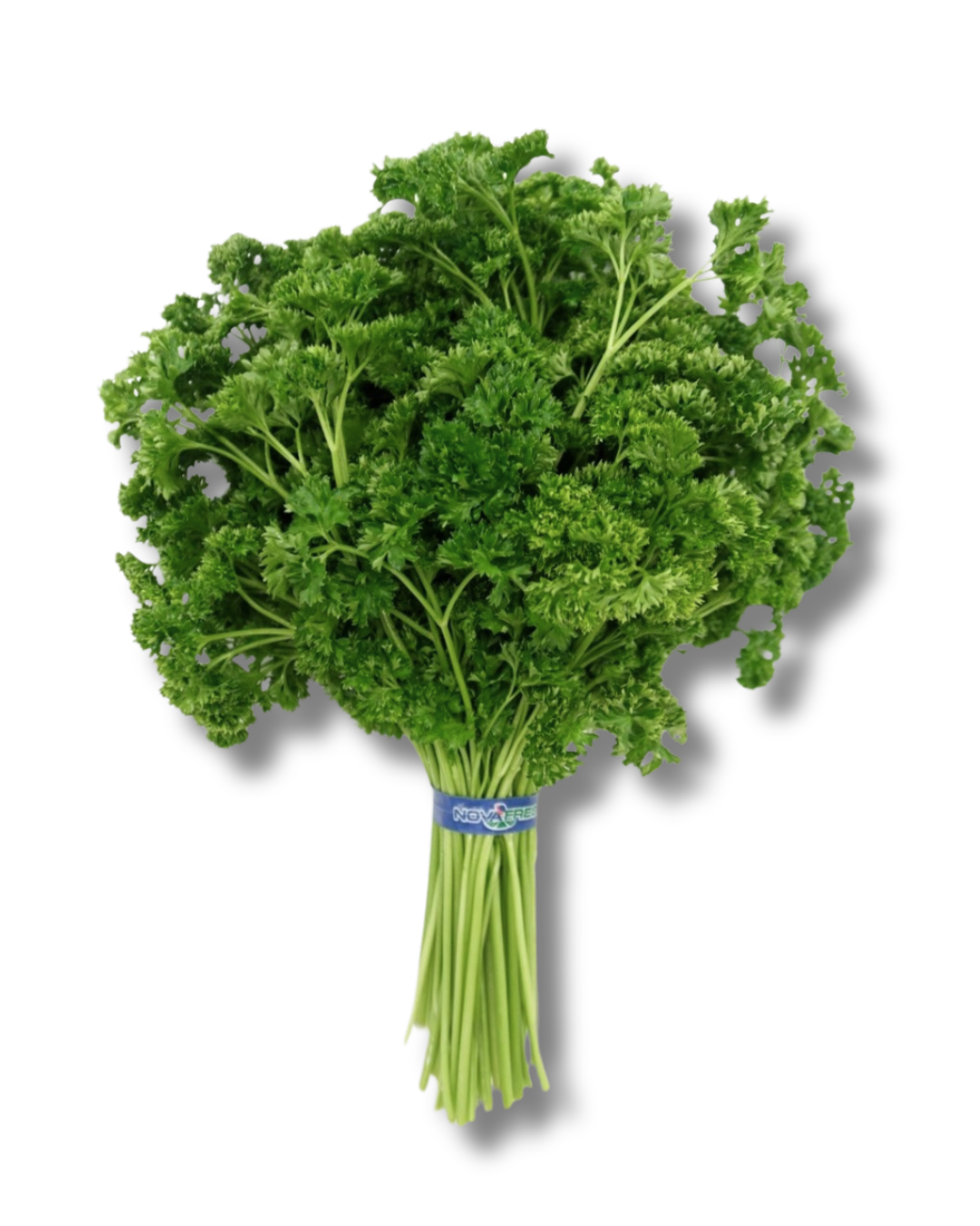 Curly Parsley (2) Curly Parsley – Crisp, curly and refreshing in taste.