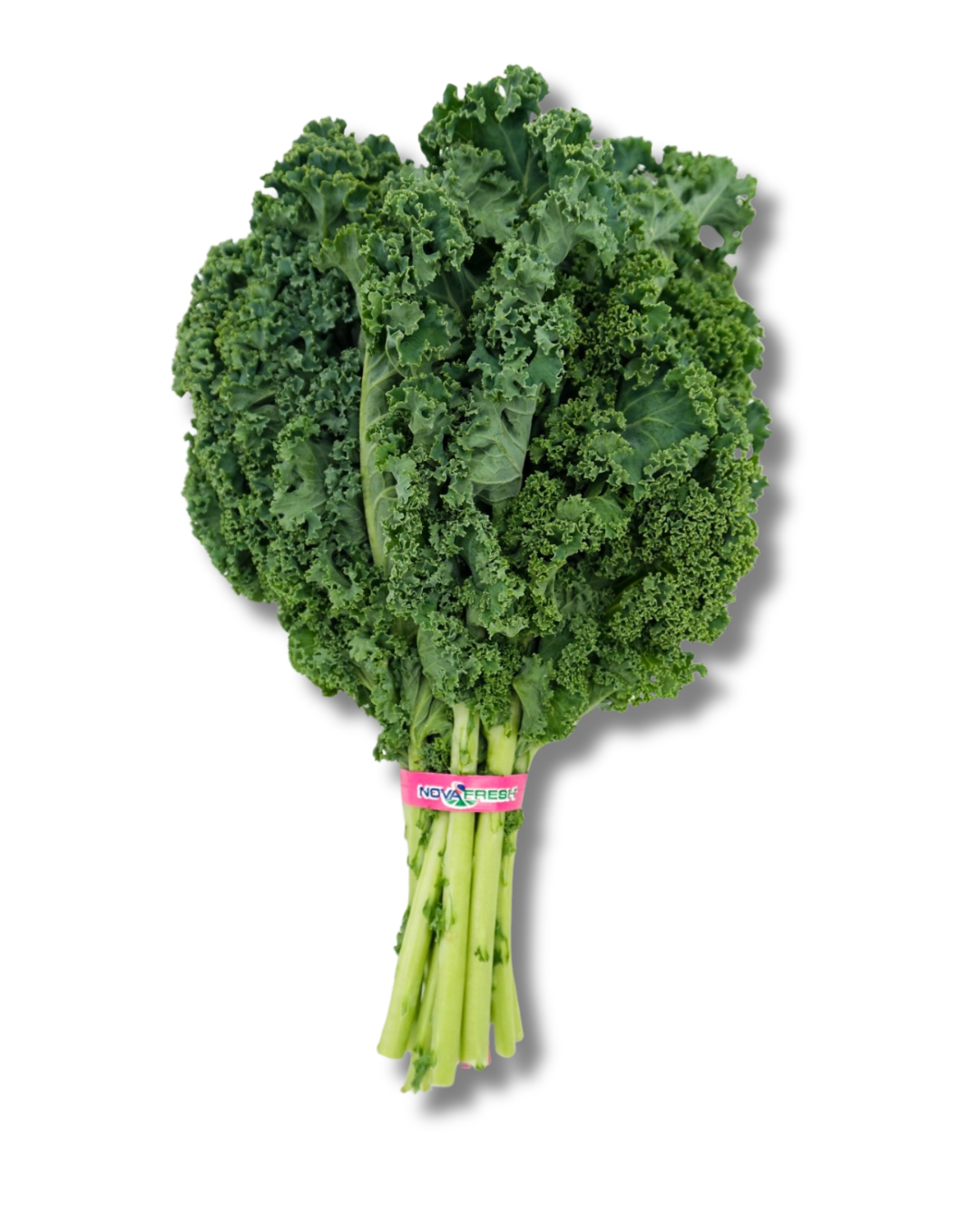Green Kale (2) Green Kale – Nutritious with a bold, leafy flavor.