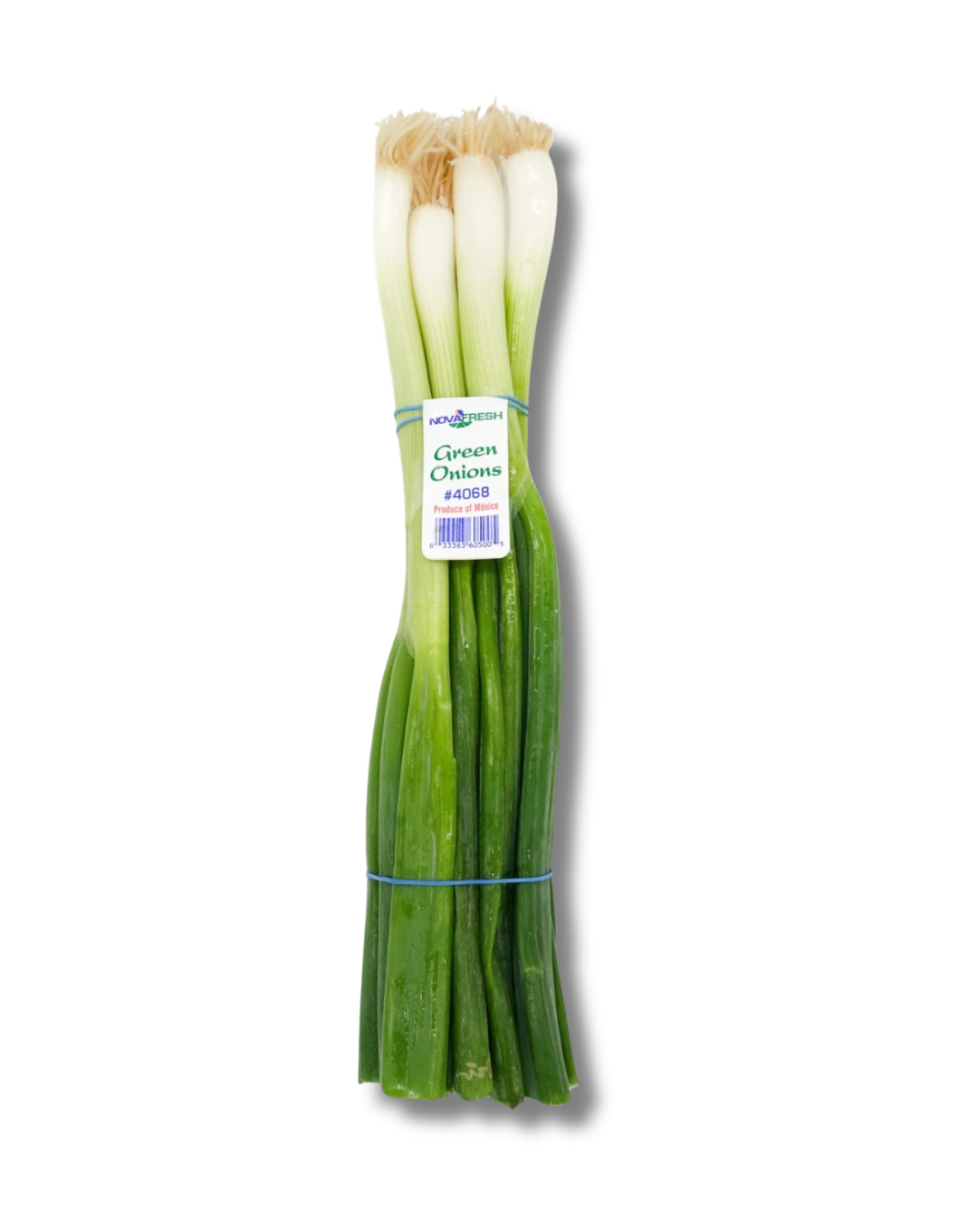 Green Onions (2) Green Onions – Fresh, crisp and mild in taste.