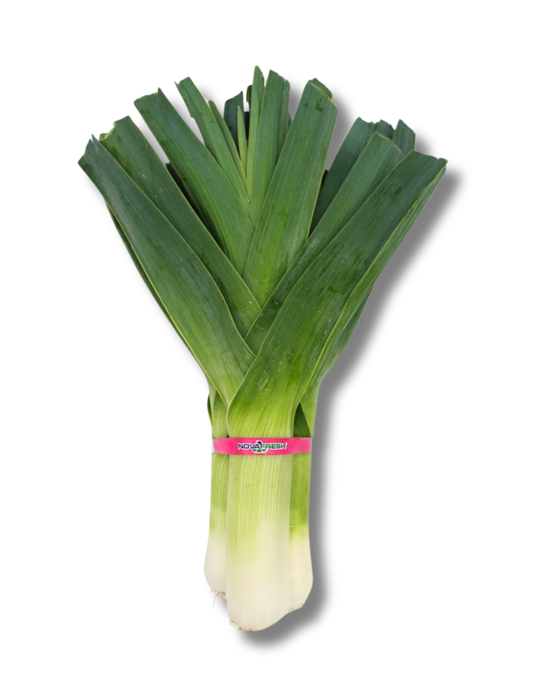 Leeks (2) Leeks – Mild, sweet and delicately flavored.